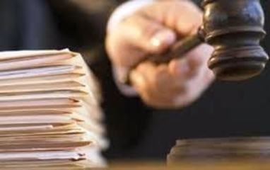 Cane trascinato in strada a Trani, Sidoli (Ape): «Governo inasprisca le pene»