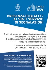 Emergenza blatte a Trani, firmata ordinanza per la prevenzione e il controllo