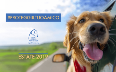 «Proteggi il tuo amico»: la campagna di sensibilizzazione della Lega nazionale per la difesa del cane