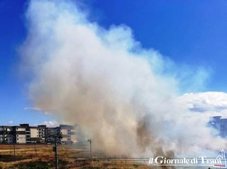 Trani, il Comune non rispetta la sua stessa ordinanza anti incendi: a fuoco sterpaglie in un terreno in via Giachetti