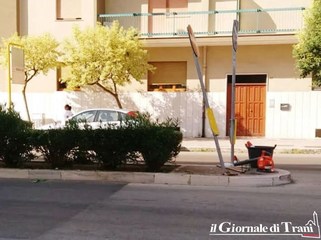 Trani, le siepi dello spartitraffico tornano «nane»: quattro giorni fa ne avevamo denunciato la crescita smisurata