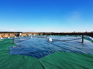 Energia elettrica dal biogas della discarica di Trani: un operatore si propone ad Amiu e l'azienda chiede manifestazioni d'interesse a tutti