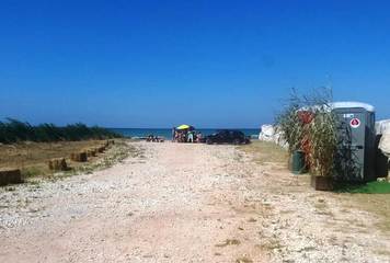Boccadoro, tutti a pranzo in riva al mare con le auto: già violato il divieto disposto da Comune di Trani e Delfino blu