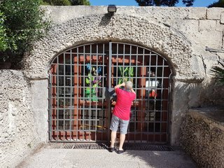 Villa comunale di Trani, l'acquario rischia nuovamente di chiudere. Di Gregorio: «Resterà aperto, stiamo trovando la soluzione»
