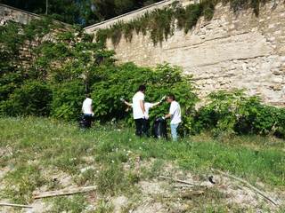 Trani, vigilanza e pulizia della costa comunale: attività affidate all'associazione Amici del mare