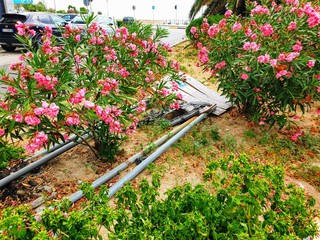 Segnali abbattuti in via Tasselgardo, il Comune di Trani li sostituirà facendosi risarcire dai responsabili dell'incidente
