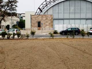 Trani, ennesima bonifica: Villa Bini torna pulita, ma resta ancora senza recinzione, né gestione