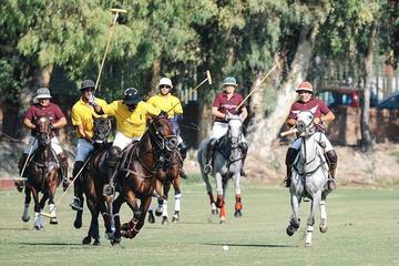 Prima volta, ma indimenticabile: il tranese Giorgio Cosentino vince il campionato italiano di polo