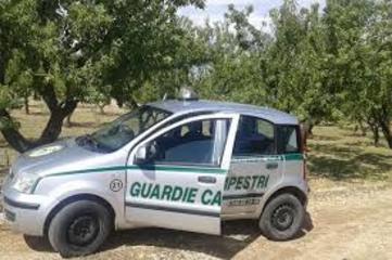 Guardie rurali, il presidente del consorzio di Trani risponde al sindacato Cosp: «Non siamo mai stati sordi alle richieste dei dipendenti»