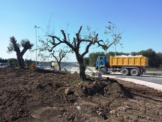Ponte sulla Trani-Andria, De Toma: «Mai smesso di crederci e insistere con la Regione. Il merito più grande? È di Mario Maggio»