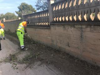 Amiu Trani, radicale pulizia nei pressi del centro Jobel: rimozione dei rifiuti ingombranti e decespugliazione