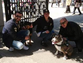 Trani, le guardie zoofile cominciano a fruttare: multe per oltre 1000 euro nel primo mese di attività