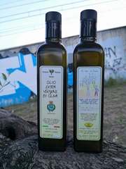 Olio sociale, anche quest'anno saranno recuperati i frutti degli ulivi di via Falcone e via Borsellino