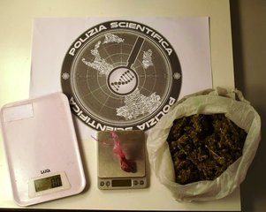 AGGIORNATO. Nascondeva in casa marijuana, la Polizia arresta dipendente del Comune  di Trani