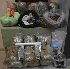 Fermato un pregiudicato biscegliese in via Grecia. Con sé aveva 3,69 grammi di marijuana, ma a casa sua ne deteneva 14kg: arrestato dalla polizia
