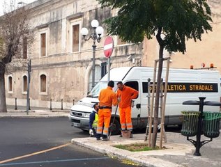 Trani, piazza Plebiscito e dintorni: nuova segnaletica per un maggiore ordine della circolazione