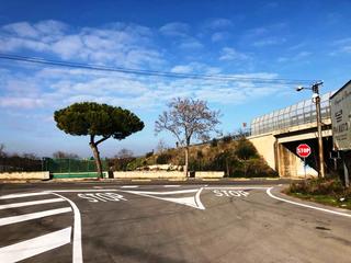 Trani, via alla nuova segnaletica orizzontale: costo, 32mila euro. Si è ripartiti da Capirro