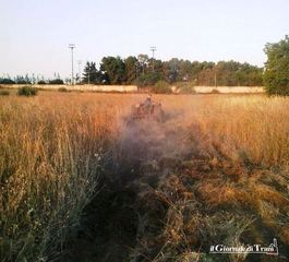 Trani, una struttura per bisognosi sul terreno della Casa di riposo a Capirro? Un perplesso Santorsola scrive ad Emiliano, Bottaro e Curci