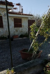 Trani, questa notte furto in due ville a Capirro: attrezzi agricoli, strumenti musicali e bombola del gas la refurtiva