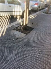 Deiezioni canine all'ingresso della scuola Dell'Olio, le mamme pronte a dar battaglia: «Seri problemi per la sicurezza igienica dei bambini»