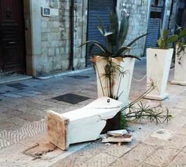 Trani, piazza Tomaselli sempre più casa dei vandali: distrutta fioriera fra fiumi di alcool
