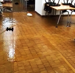 Biblioteca comunale di Trani, basta allagamenti: stanziati oltre 17mila euro per adeguamento impianti e messa in sicurezza