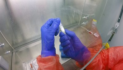 Coronavirus, oggi in Puglia nessun caso. Lo comunica il presidente Emiliano