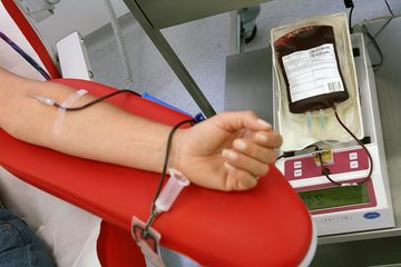 L'appello dell'Avis Trani: «Continuate a donare il sangue: non c'è alcun pericolo»