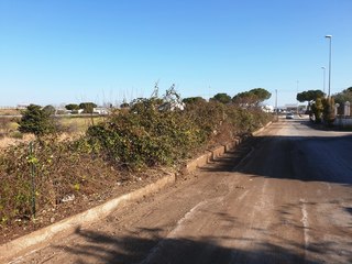 Antenna stoppata a Capirro, ecco cosa prevede il Pue presentato per quell'area al Comune di Trani nel 2014