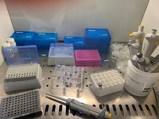 Coronavirus, oggi nella Barletta-Andria-Trani cinque casi ed un decesso. In Puglia i positivi salgono a 248