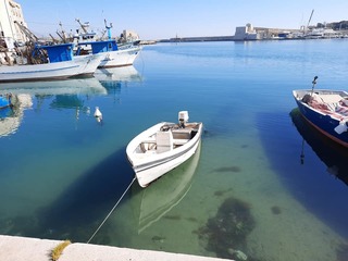 Trani, nell'emergenza la bellezza: il fondale del porto come non lo avete mai visto