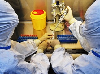 Coronavirus, l'allineamento dei dati fa registrare un'impennata di casi in Puglia. Dei 39 nuovi della Bat, nessuno a Trani