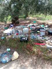 Uliveto trasformato in discarica: succede a Trani, in via sant'Angelo