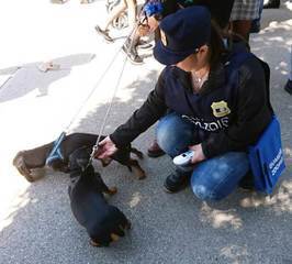 Oipa Trani, da oggi riprendono le attività di polizia amministrativa del nucleo guardie zoofile