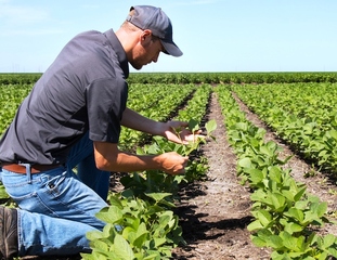 Coronavirus, gli agricoltori amatoriali potranno accedere ai loro fondi ma non più di una volta al giorno