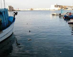 Trani, l'asporto finisce nel porto: resti di consumazioni in acqua con il pretesto dei «25 metri»