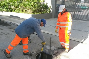 Prevenzione e controllo dell'infestazione da blatte, da oggi al via gli interventi di Amiu e Acquedotto pugliese. Il calendario fino al 10 giugno