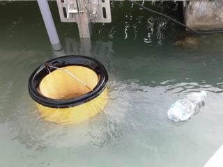 FOTO e VIDEO. Porto di Trani, tre robot per ripulire l'acqua dai rifiuti: accordo Amiu-Comune-Lega navale