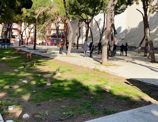 Trani, alla pinetina riprendono i lavori ma alcuni alberi sono malati e pericolosi: saranno tagliati e sostituiti con nuovi