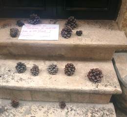 Trani, in vico San Basile pigne sugli scalini e cartelli contro gli incivili della movida: «Qui i bambini dormono e sognano, fate silenzio»