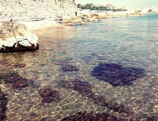 Per Legambiente il mare della Barletta-Andria-Trani è tra i più belli d'Italia: assegnate alla nostra città tre vele per il 2020, una in più rispetto allo scorso anno