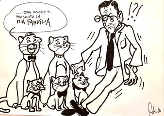 «Tutto d'un tratto Trani», il gatto guarito ci prende gusto e va da Bottaro: «Ecco la mia famiglia»