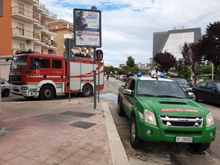 Vigili del fuoco, tre animali salvati in mezza giornata: l'ultimo, ieri pomeriggio, a Trani