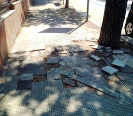 Trani, viale De Gemmis da salotto a trappola: 84enne cade e si spezza il braccio. Marciapiedi dissestati dai pini e scarsa manutenzione