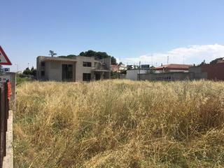 Aree incolte a rischio incendio, i cittadini lamentano alcune bonifiche non effettuate: «Rischio incendi di terreni sia in zona nord che in zona sud»