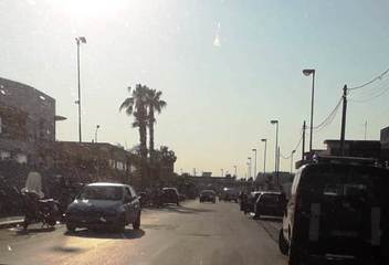 Trani, cavallo inciampa in un tombino aperto e batte la testa: folla di curiosi intorno all'animale agonizzante