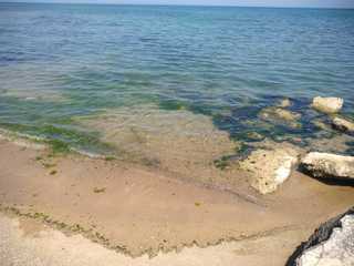 L'oasi di Boccadoro riapre i battenti per la stagione estiva: bagni chimici e zona pic-nic a servizio dei bagnanti