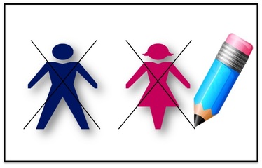 Parità di genere nella legge elettorale regionale: la giunta approva lo schema del disegno di legge