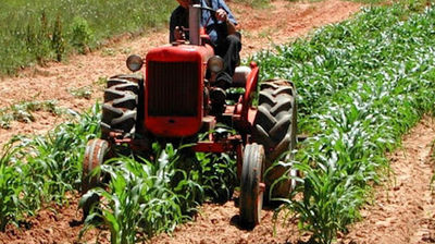 Provincia Bat: i sindacati chiedono la ripresa della rete del lavoro agricolo di qualità