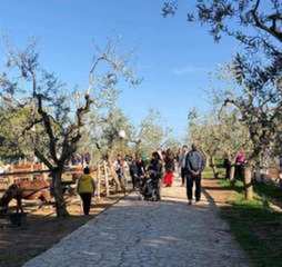 Estate di Trani, oggi il via con «Gran varietà» al parco di Santa Geffa